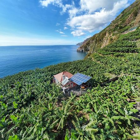 Casa Dos Anjos Villa Ponta do Sol  Ngoại thất bức ảnh