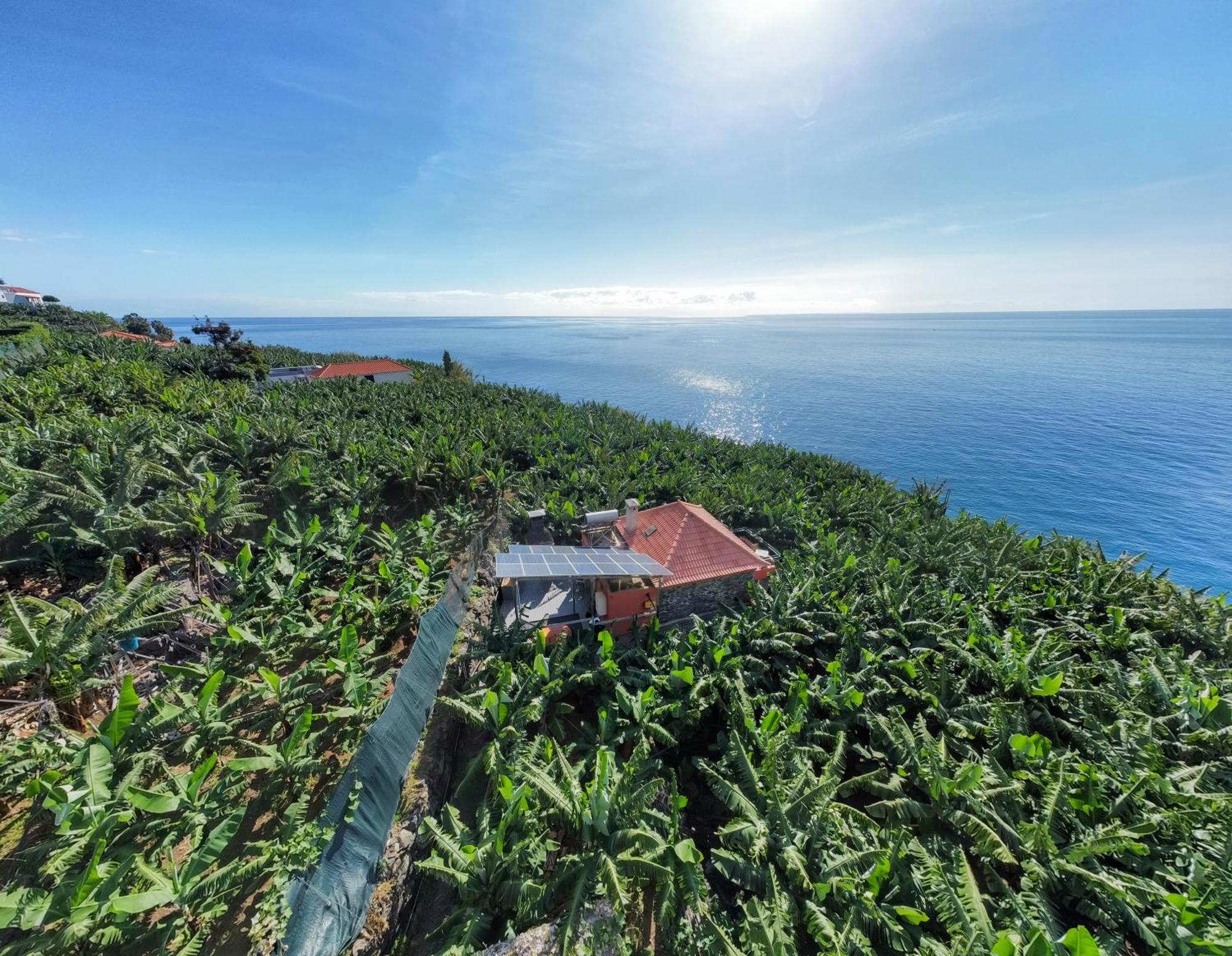 Casa Dos Anjos Villa Ponta do Sol  Ngoại thất bức ảnh