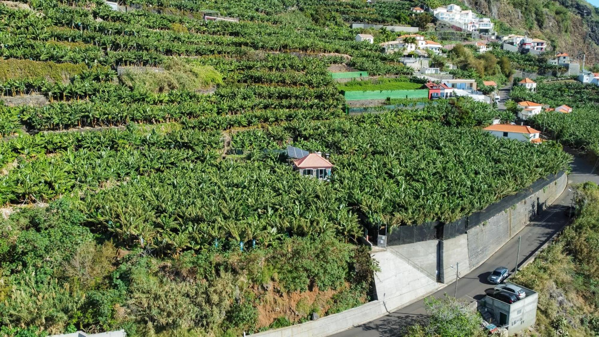 Casa Dos Anjos Villa Ponta do Sol  Ngoại thất bức ảnh