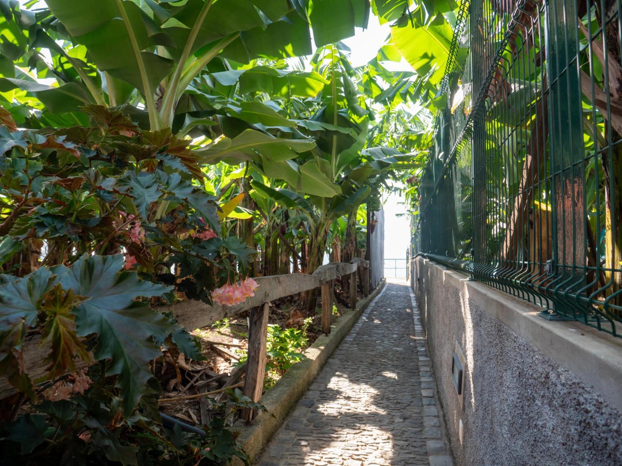 Casa Dos Anjos Villa Ponta do Sol  Ngoại thất bức ảnh