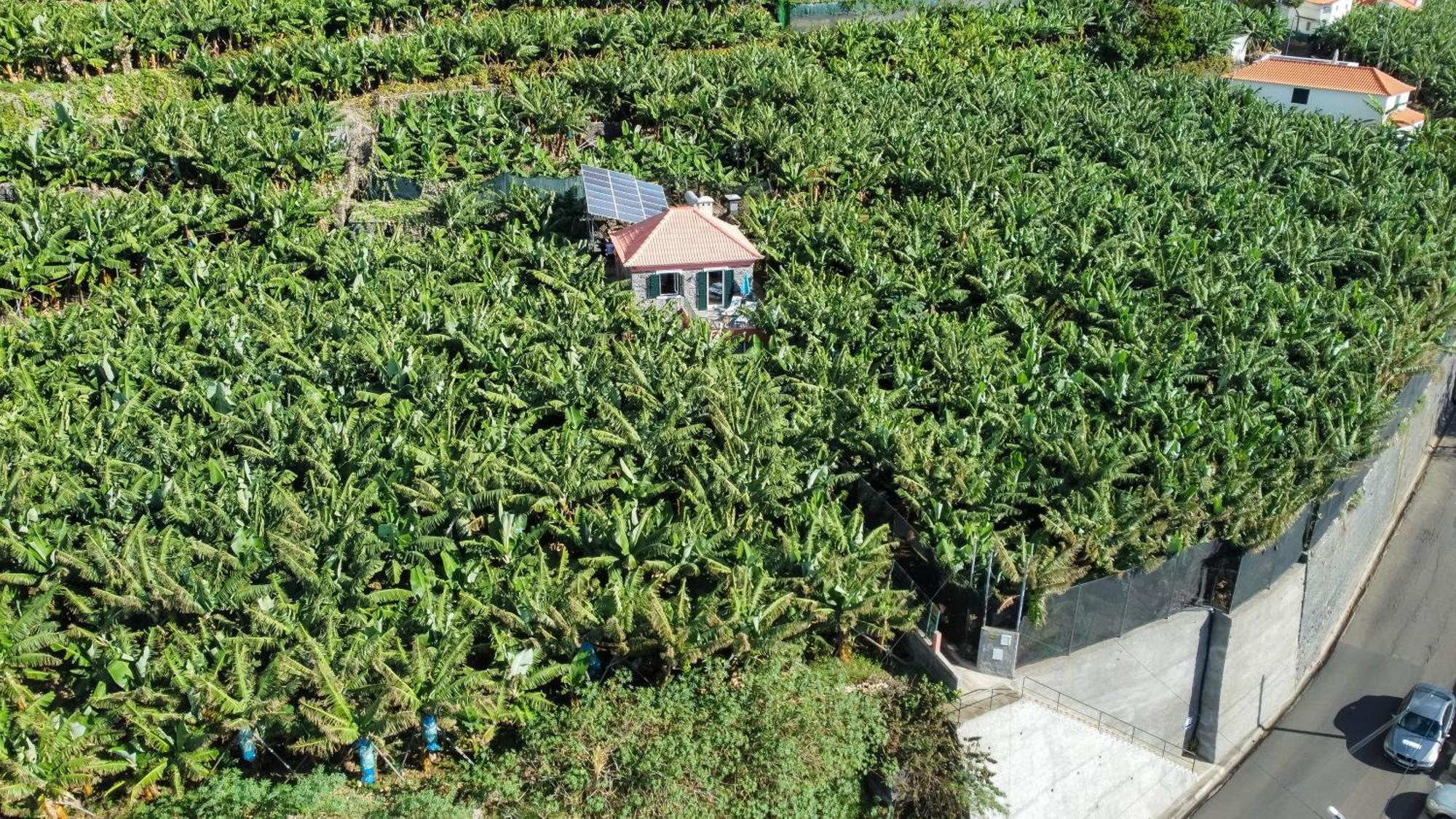 Casa Dos Anjos Villa Ponta do Sol  Ngoại thất bức ảnh