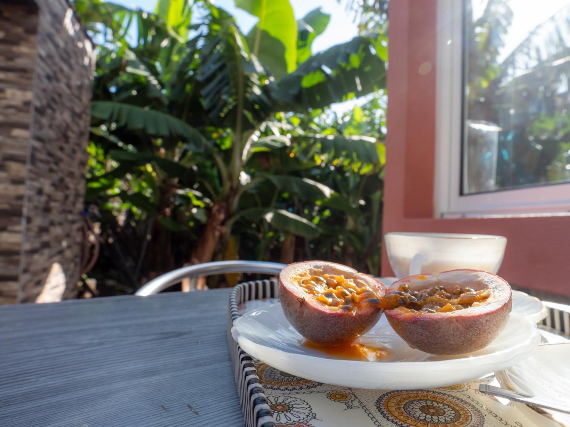 Casa Dos Anjos Villa Ponta do Sol  Ngoại thất bức ảnh