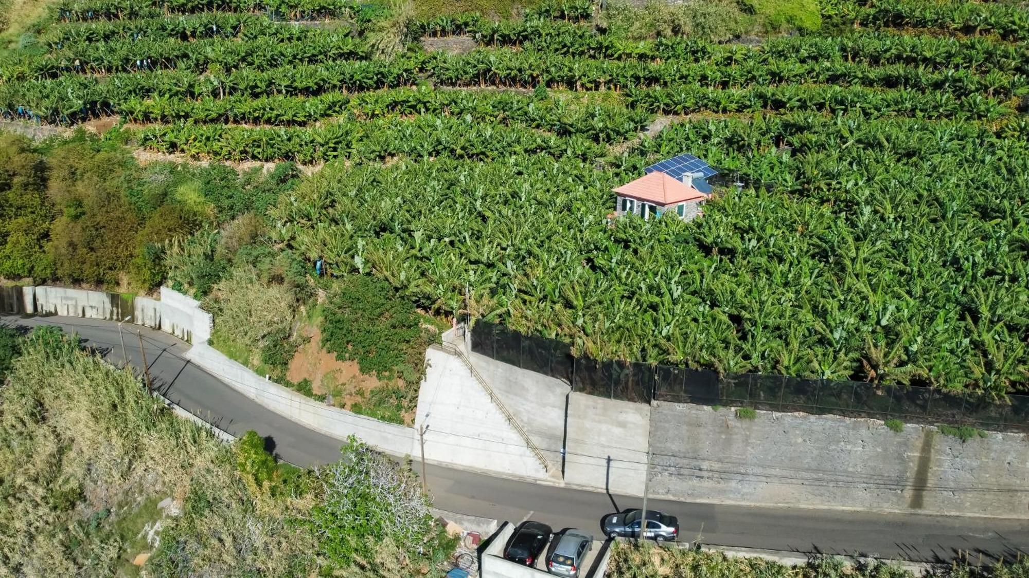 Casa Dos Anjos Villa Ponta do Sol  Ngoại thất bức ảnh