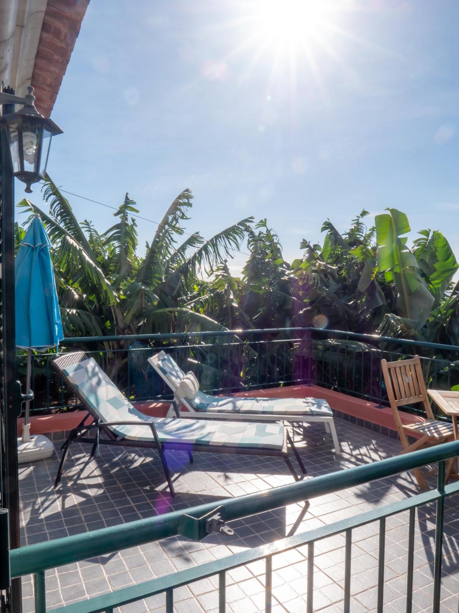 Casa Dos Anjos Villa Ponta do Sol  Ngoại thất bức ảnh