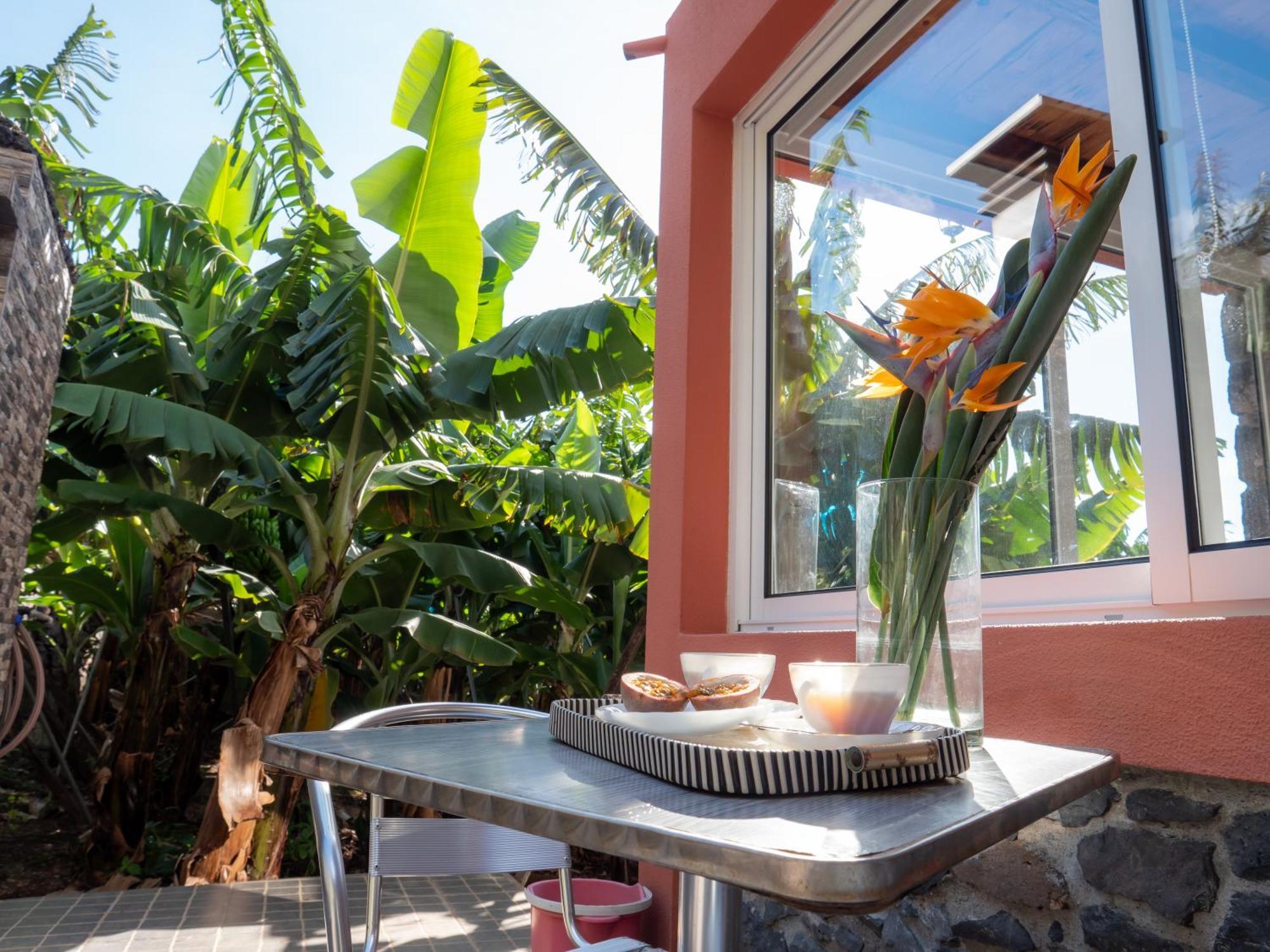 Casa Dos Anjos Villa Ponta do Sol  Ngoại thất bức ảnh